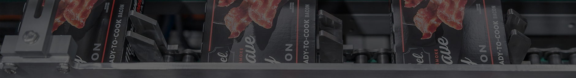 Bacon Cartoner Header