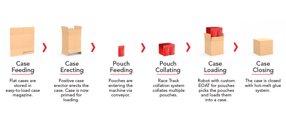 Product Case Packing Feed Process